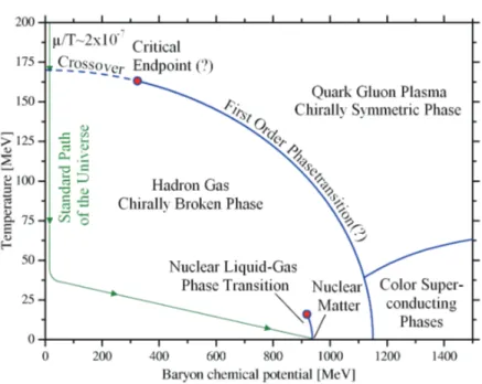 Figure 1.6: The QCD phase diagram from Ref .[24]. The baryon chemical potential µ B or equivalently the nuclear matter density ρ (eventually normalized to