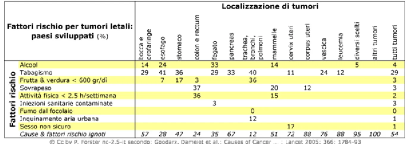 Fig. 1.1    Tumori e fattori di rischio nei paesi sviluppati. 