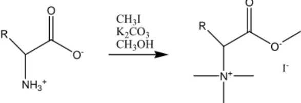 Tabella 3.  a  Costanti di binding dei complessi degli amminoacidi permetilati con CS3 calcolate mediante 