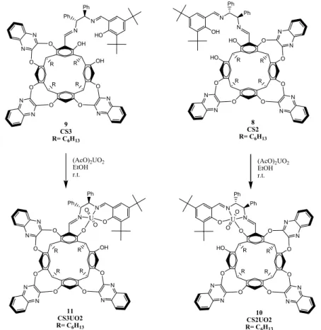 Figura 14. Strutture ottimizzate dei complessi metallici CS3UO 2  (sinistra) e CS2UO 2  (destra) (Hyperchem, 