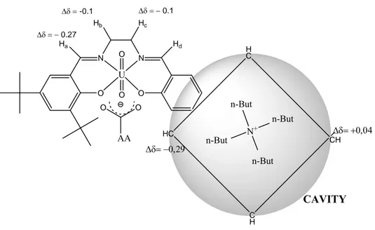 Figura 16. Rappresentazione schematica del complesso supramolecolare CS2UO 2  ⊂ D-Phe-TBA e Δδ osservati 