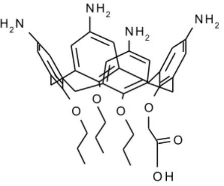 Figura 11. Derivato tetrammino-calixarenico. 