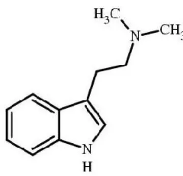 Fig. 1.9. N,N-Dimetiltriptamina: 2-(1H-indol-3-il)-N,N-dimetiletanammina 