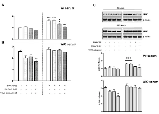 Figure  3  -  Involvement  of  PAC1/VPAC  receptors  on  ADNP  expression profile in MPNST cells 
