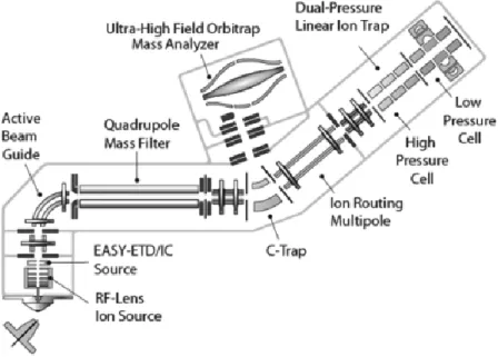 Figure 10. Schematic representation of the Fusion instrument 20   