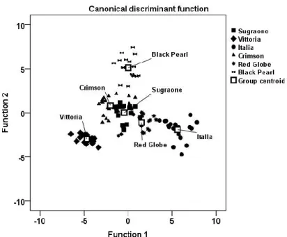 Figure 1 – Plot of the two discriminant function scores for the grape  varieties 