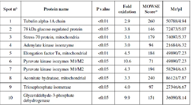 Table 5. Summary of the proteins identified by redox proteomics that are increasingly  carbonylated in the hippocampus from senescent versus aged rats