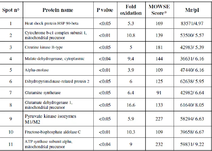 Table 4. Summary of the proteins identified by redox proteomics that are increasingly carbonylated  in the striatum from senescent versus aged rats