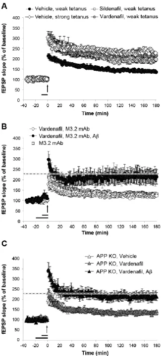 Figure 4. cGMP-induced conversion of e-LTP into l-LTP requires Aβ. A, Perfusion of hippocampal  slices with 50 nm sildenafil or 10 nm vardenafil for 10 min before a weak tetanus is able to convert  e-LTP in l-e-LTP (vehicle: n = 7; 134.96 ± 4.19% of baseli