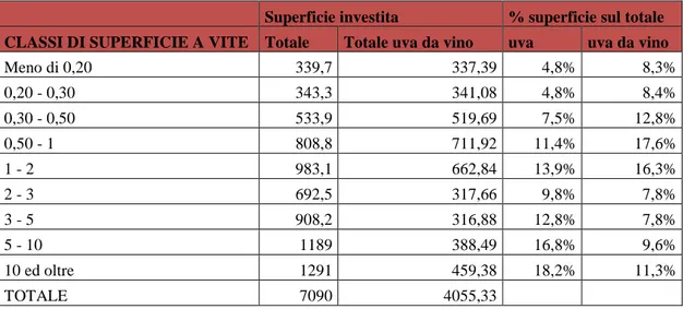 Tabella 13: Superficie investita per natura della produzione e classe di superficie investita a vite nella  provincia di Catania (superficie in ettari) 