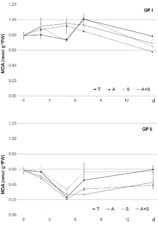 Fig. 5.4.19 – Callistemon: andamento di MDA nel primo (in alto) e nel secondo  ciclo. 