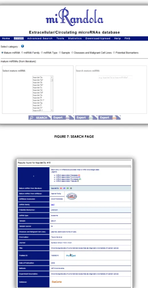 FIGURE 8: ESEMPIO PAGINA RISULTATI 