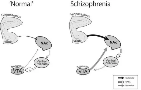 Figure 4: Cartoon depicting the aberrant regulation of the dopamine system in 