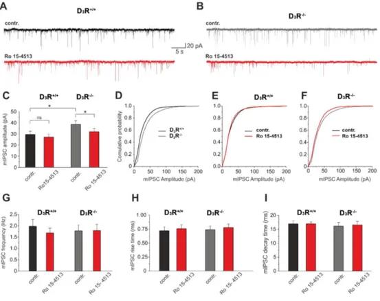 Figure 3.  NAc medium spiny neurons from D 3 R -/-  mice exhibited increased GABA A  inhibitory 