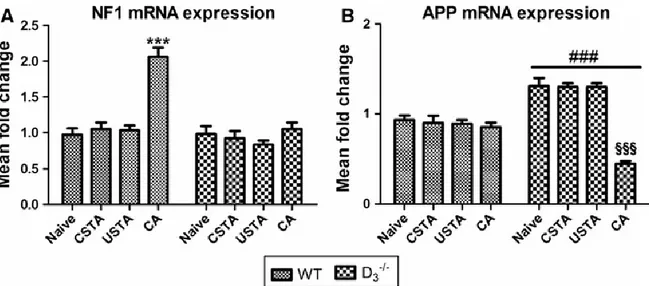 Figure  4.  NF1  and  APP  mRNA  expression  in  the  hippocampus  of  WT  and    D 3 R -/-  mice 
