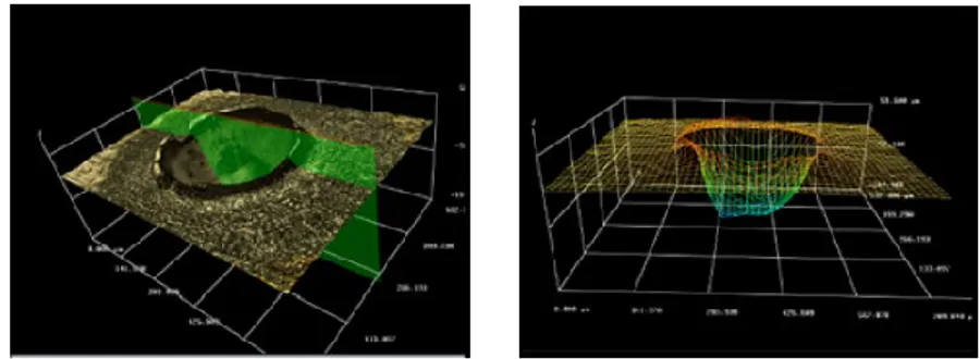 Fig. 3.7.1 – 3D model in colour view (left) and mesh view (right) generated by the optical  microscope
