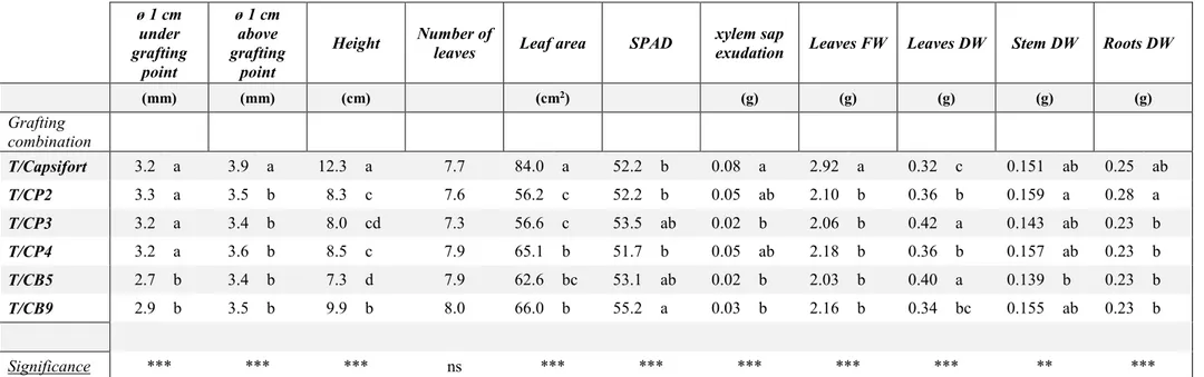 Table 5 - Biometric characteristics, SPAD and xylem sap exudation of transplant of ‘Tiberio’ F 1  grafted onto ‘Capsifort’ F 1  and onto the tested 