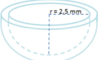 Figure 4.2.5 - schematization of the plastic container used for experimental  measurements 