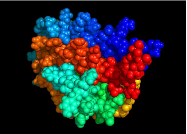 FIG 1: ricostruzione tridimesionale della macromolecola di Eritropoietina 
