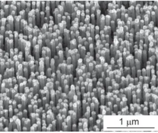 Figure 1.3: Densely packed Si NWs fabricated by VLS using an alumina template [ 16 ]