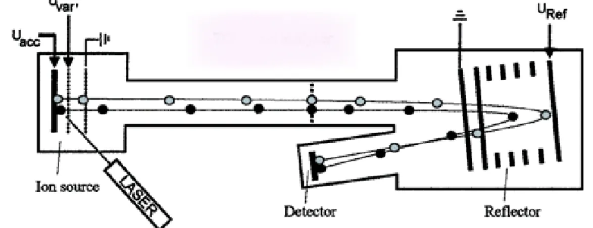 Figura 18:  Schema di uno spettrometro di massa MALDI-TOF a riflessione. 