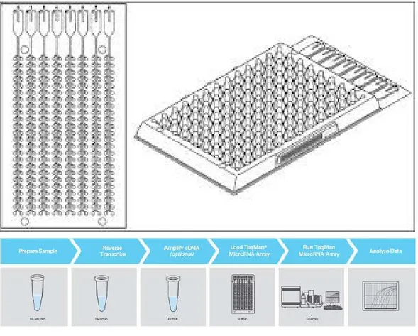 Figure 13. Applied Biosystems 7900HT TaqMan low density array and workflow for the analysis 