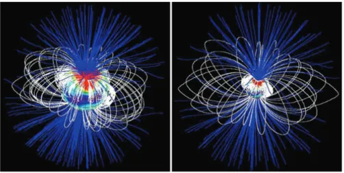 Figure 1.2: Topology of the magnetosphere of the T Tauri BP Tau (Donati et al., 2008).