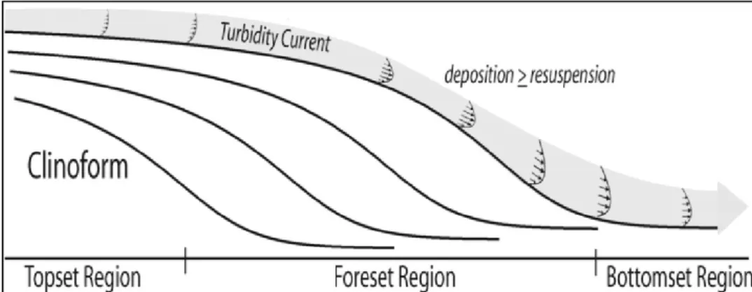 Fig. 2.2 - Typical clinoform morphology in the shelf deposits. 