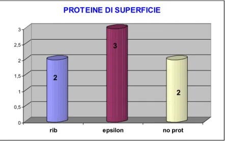 Tabella 1: associazione sierotipo/proteine di superficie  Sierotipo        Proteine di superficie            