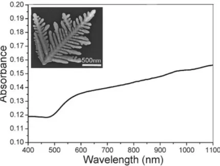 Figure  1.6  -  UV-vis  absorption  spectrum  of  Au  nanodendrites.  The  inset  shows  the  Au  