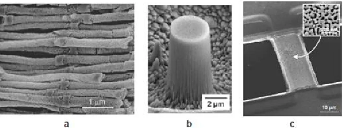 Figure  A.10  -Examples  of  microfabricated  np-Au  structures:  (a)  nanowires  produced  by  