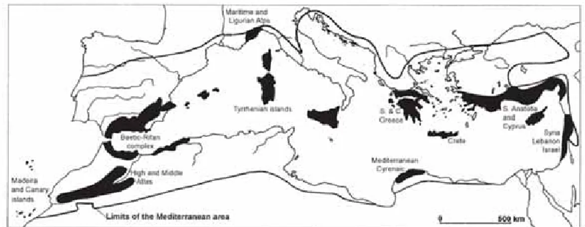 Fig. 1 – I 10 hotspot del Bacino del Mediterraneo, individuati sulla base del numero di en- en-demismi e della ricchezza di specie, sulla base di quanto stabilito da Médail e  Quézel nel 1997 (con modifiche)