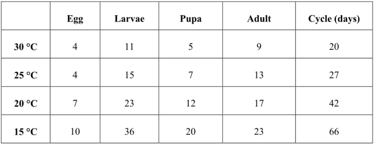 Table 1: Duration (in days) of different stages of the life cycle of T. absoluta. 