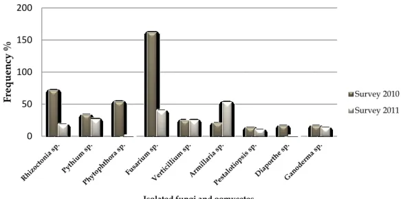 Figure  ‎ 2.8 The frequency (%) of fungi and oomycetes isolated from mango tissues.