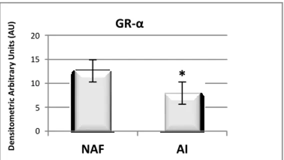 Figura 6. GR-α  a confronto tra i soggetti con normale funzione del surrene (NAF) e i pazienti con  insufficienza surrenalica (AI)