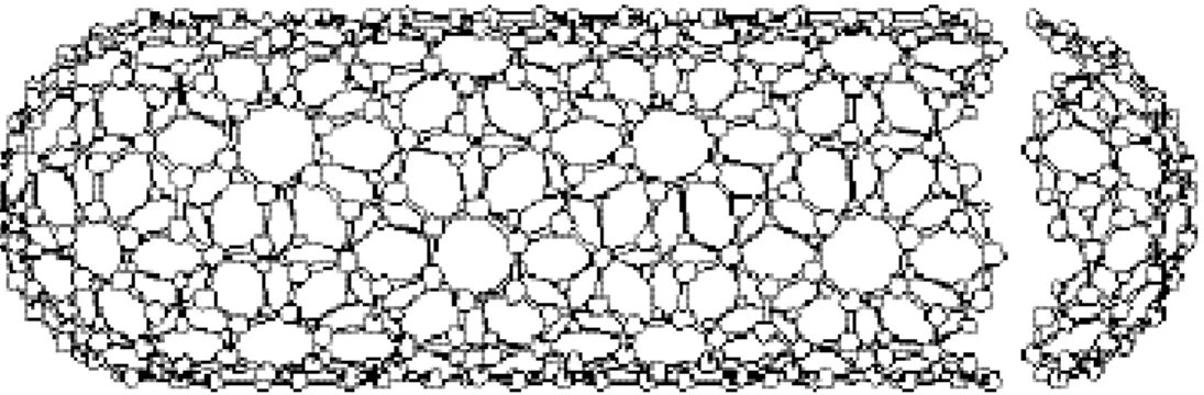 Figura 1.6 SWNT ideale, chiuso alle estremità da due semi -fullereni 