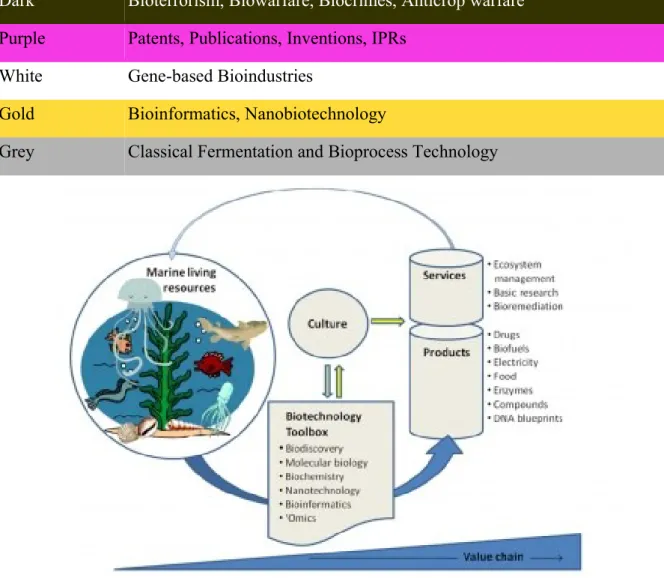 Figura 8. Rappresentazione schematica della Blue-biotechnology 