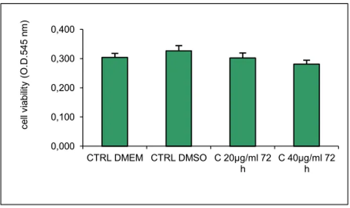 Figura 7.  Saggio di vitalità cellulare su cellule A549 di adenocarcinoma polmonare dopo somministrazione di  cetuximab (C) 20 g/ml e 40 g/ml