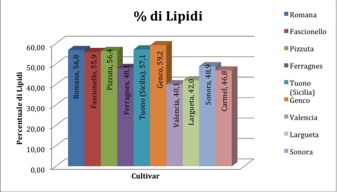 Figura 6. Percentuale di Lipidi nelle diverse cultivar