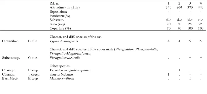 Tab. 6- Typhetum dominingensis Brullo, Minissale &amp; Spampinato 1994 