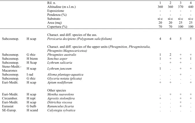 Tab. 7- Polygono salicifolii-Phragmitetum Barbagallo, Brullo &amp; Furnari 1979 