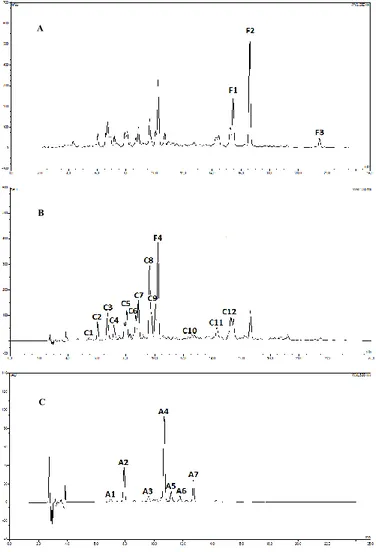 Figure 5. HPLC chromatograms, visualized at 280 (A), 330  (B) and 520 (C) nm, of Tarocco Scirè orange juice (SLT =  T0)
