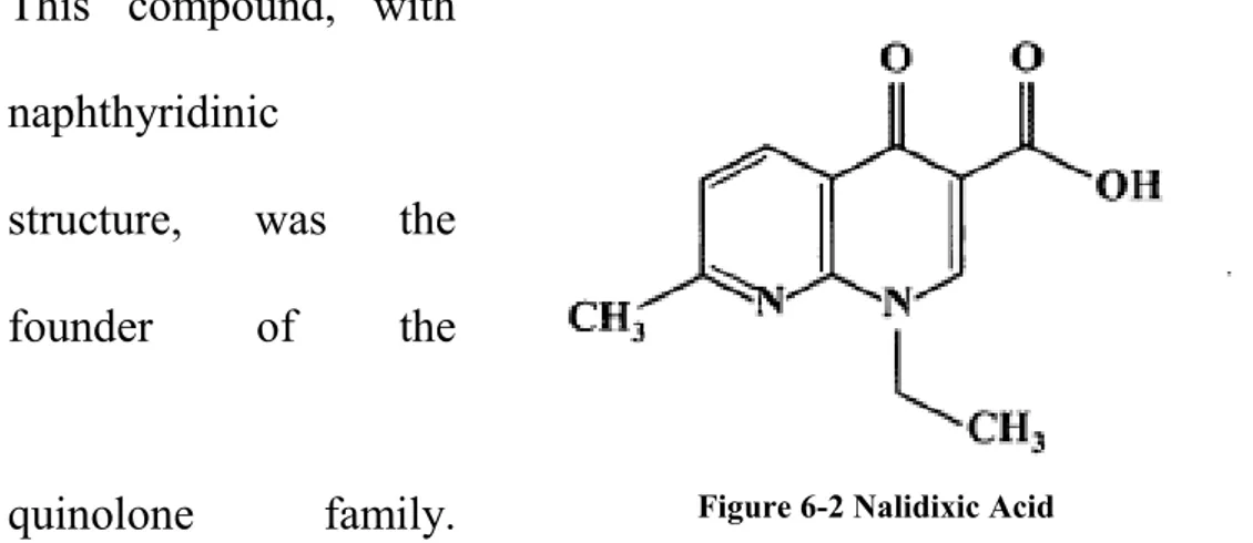 Figure 6-2 Nalidixic Acid