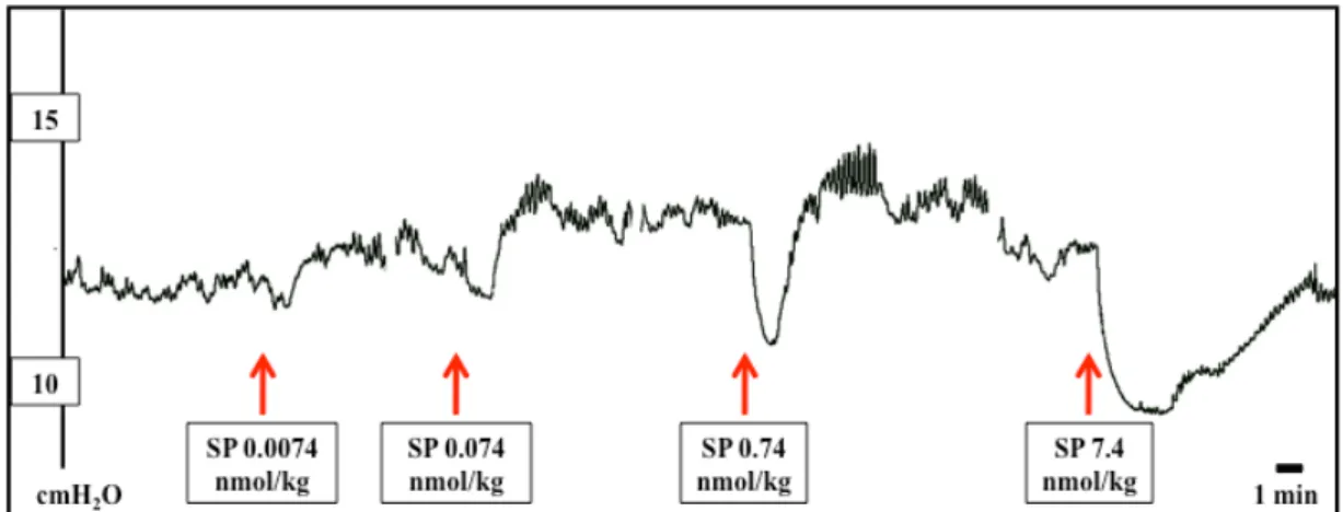 Fig.  10.  Representative  chart  recording  showing  the  effect  of  i.v.  injected  SP  (0.0074-7.4 nmol/kg) on basal gastric motility of rats