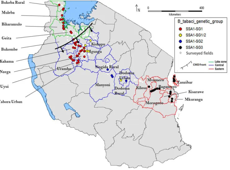 Figure 2 A north-west to coast transect of surveyed farmers’ cassava fields and the location and direction of the CMD pandemic front and of the identified  Bemisia tabaci SSA1 sub-groups in Tanzania