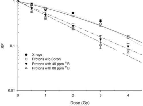 Figure 2.3: Clonogenic dose response curves of DU145 irradiated with therapeutic protons in the presence or absence of BSH at mid-SOBP