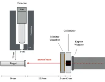Figure 2.11: Schematic representation of the experimental setup used for the gamma spectra measurement