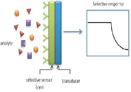Figure 1. 4: Working principle of supramolecular sensors. 