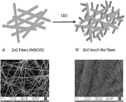 Figure 2. 1: Schematic representation of hierarchical ZnO fibers synthesis: a) ZnO  fibers deposited by MOCVD onto Zn doped PVP electrospun nanofibers, b)  brush-like ZnO nanorods grown by CBD