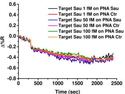 Figure 20.  Time-dependent SPRI curves obtained after the direct hybridization of the Target Sau with 